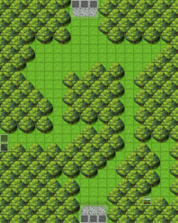 Forest Area.png